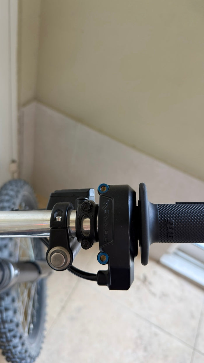 LBX Throttle Bolt Kit